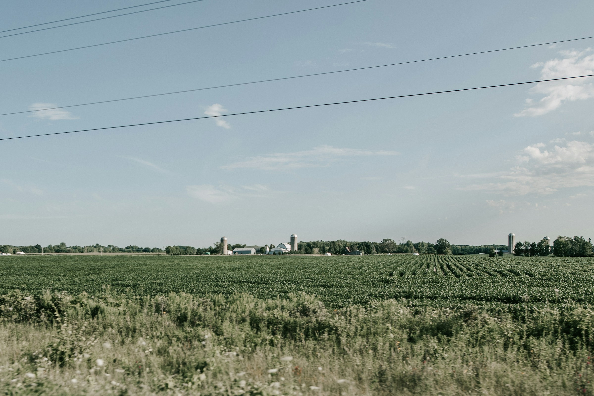 dillon-wanner-l1USw4Z0dQ4-unsplash Dolt fel